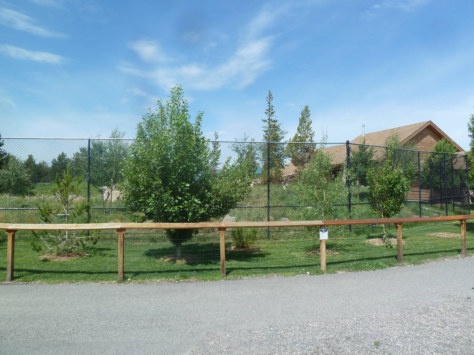 Grey Wolf Exhibit #2