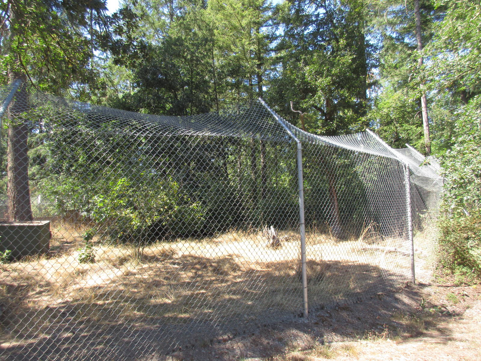 Grey Wolf Exhibit #4