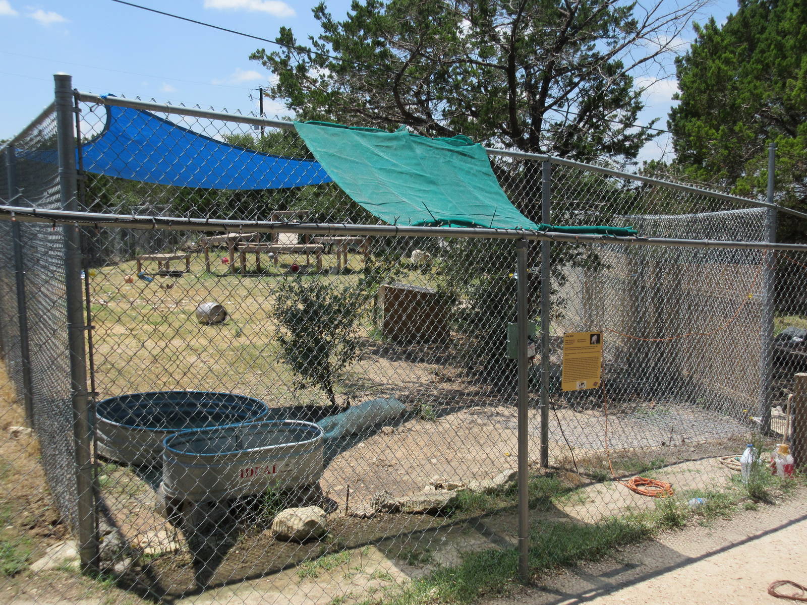 Grey Wolf Exhibit (New in 2015)