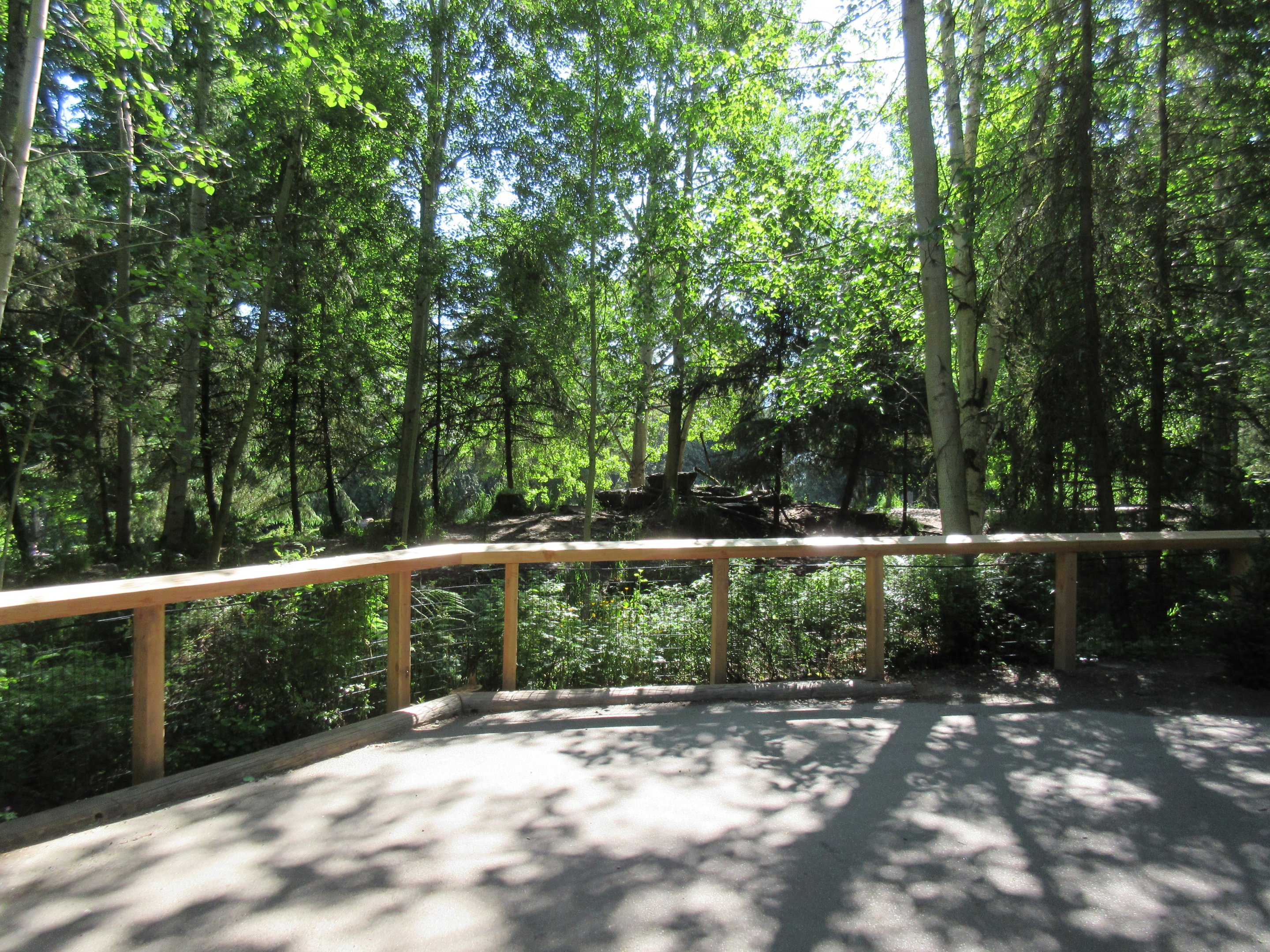 Grey Wolf Exhibit (new wood for visitor barrier)