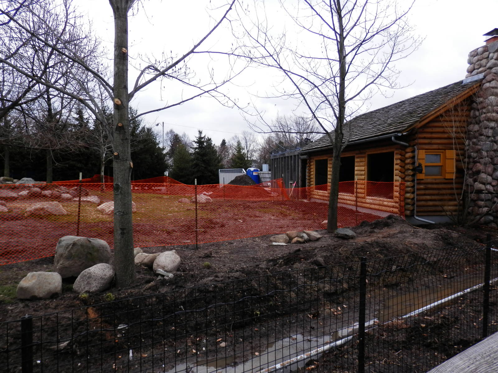 Grey Wolf exhibit renovation