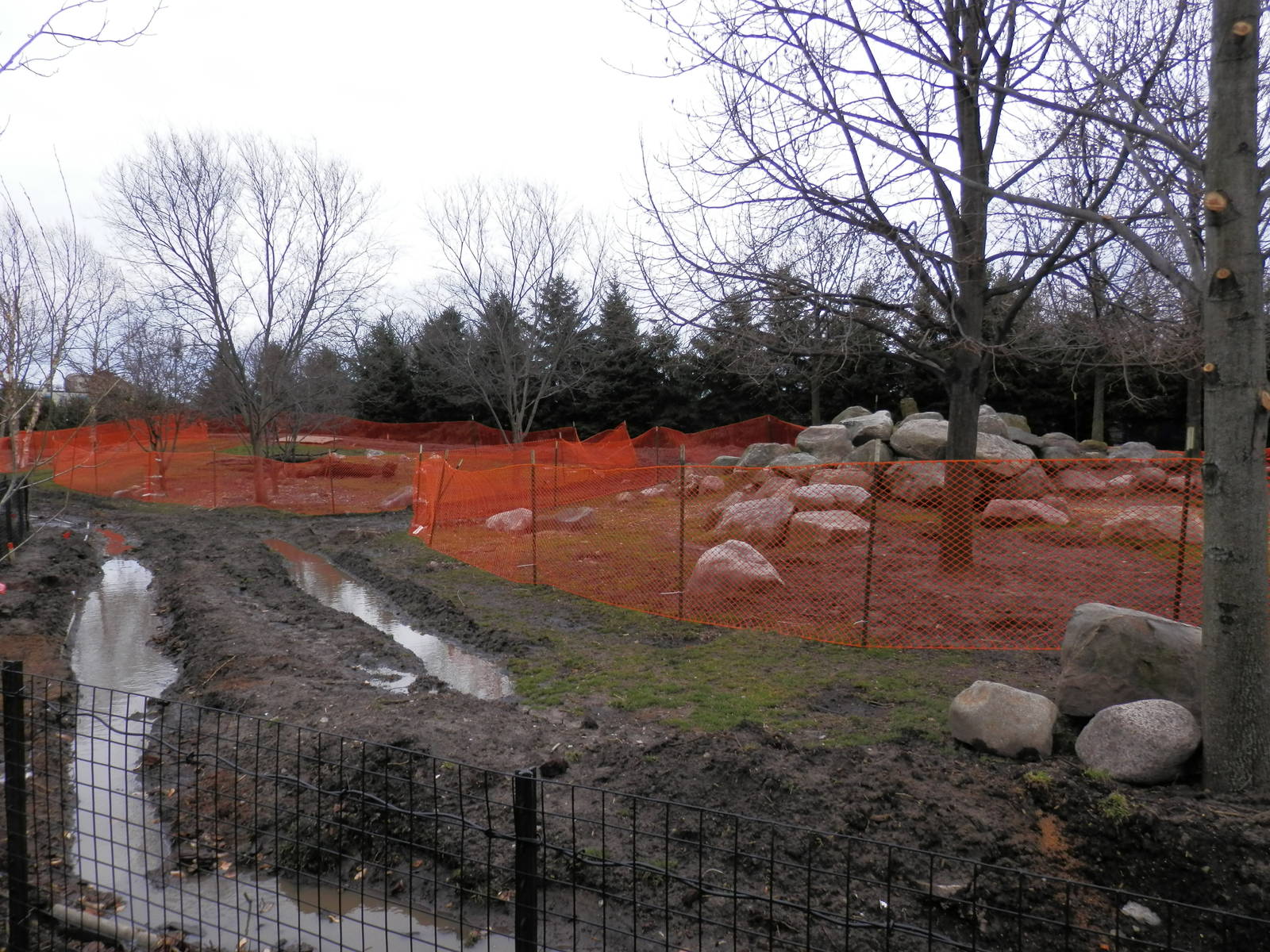 Grey Wolf exhibit renovation