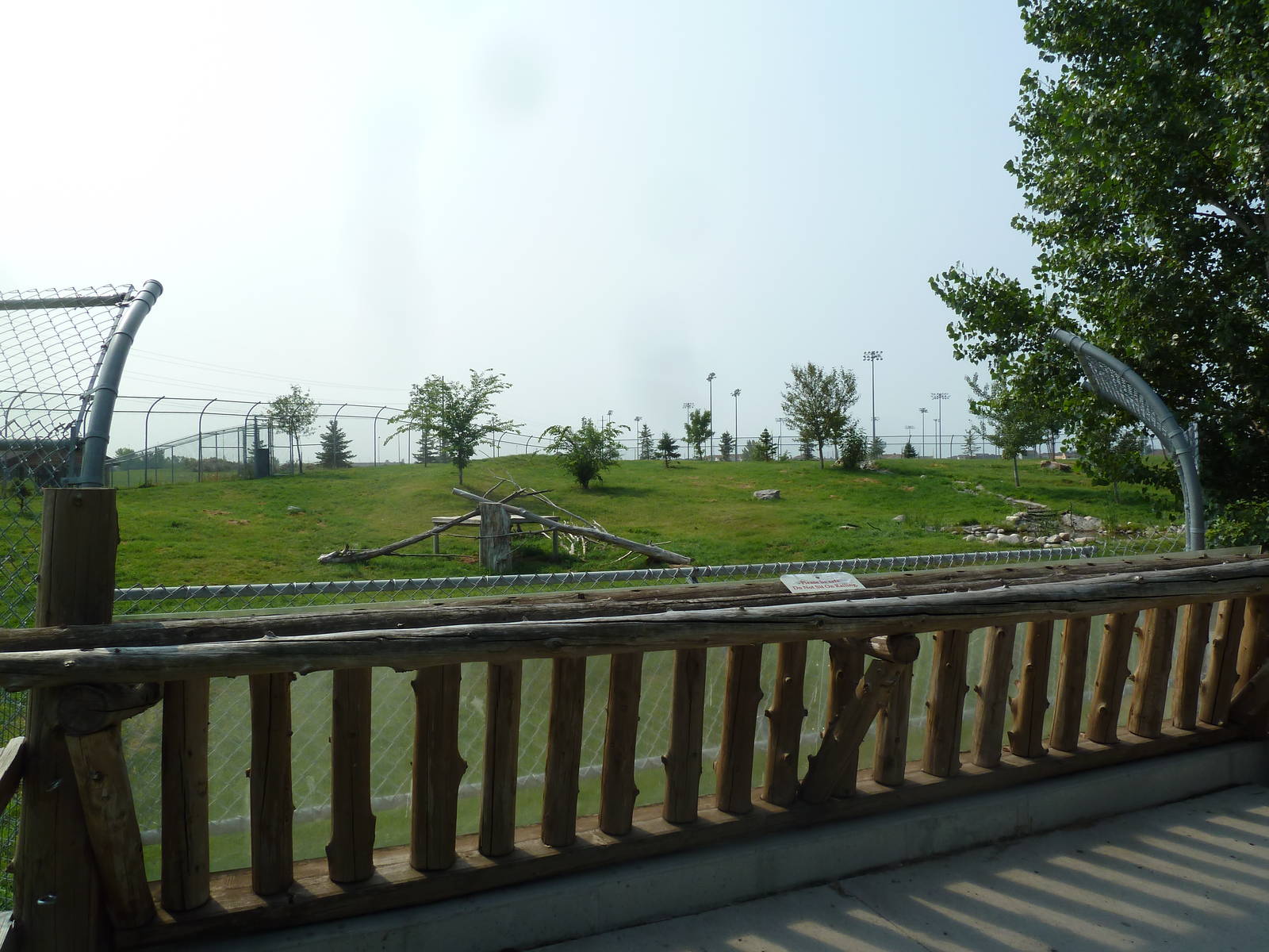 Grey Wolf Exhibit - Viewing Deck