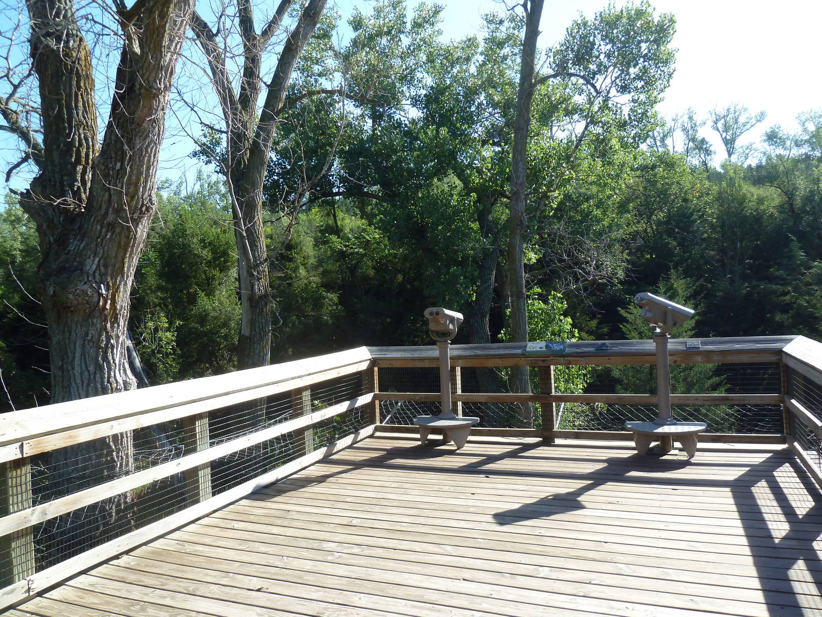 Grey Wolf Exhibit - Viewing Platform