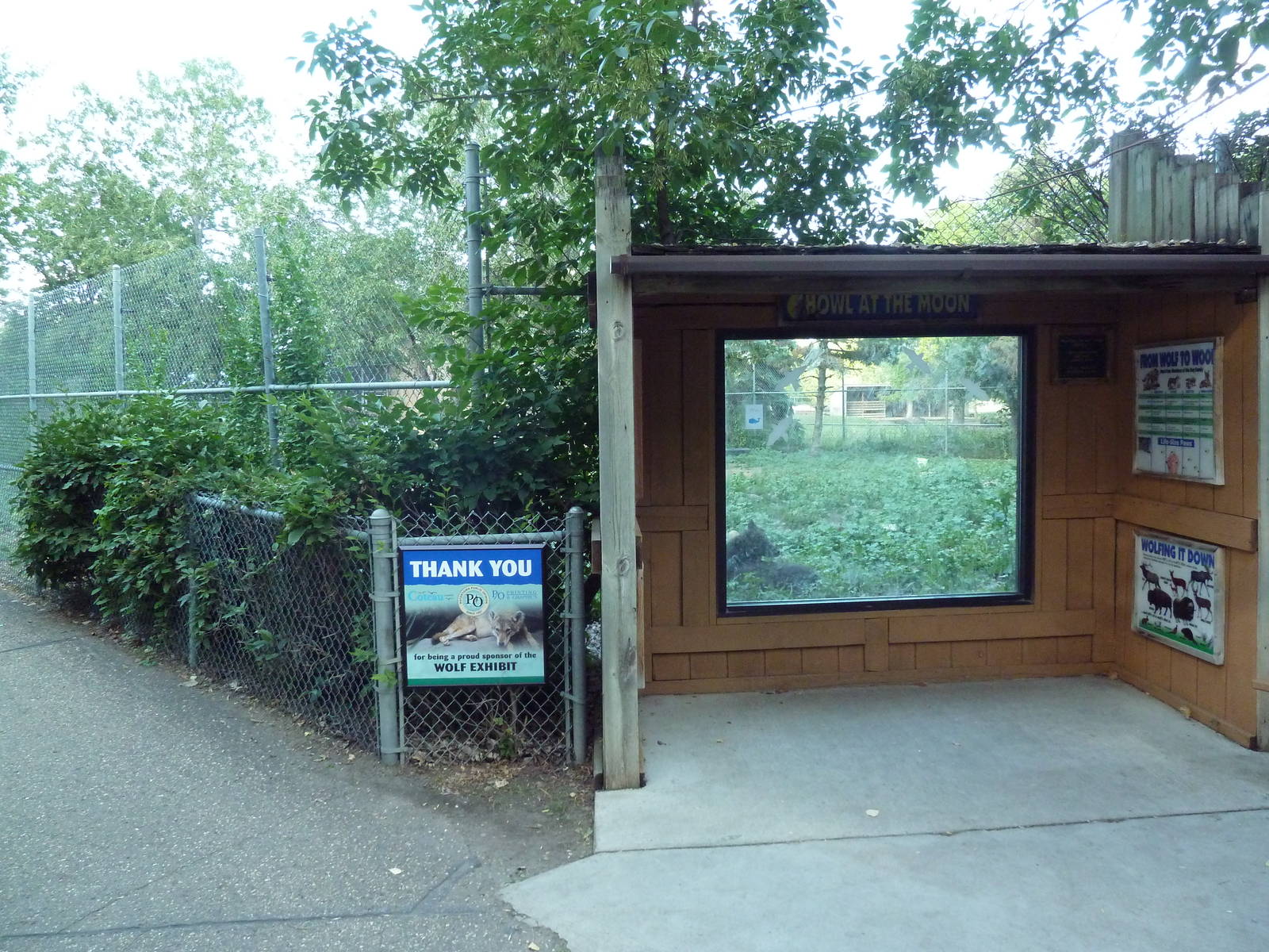 Grey Wolf Exhibit