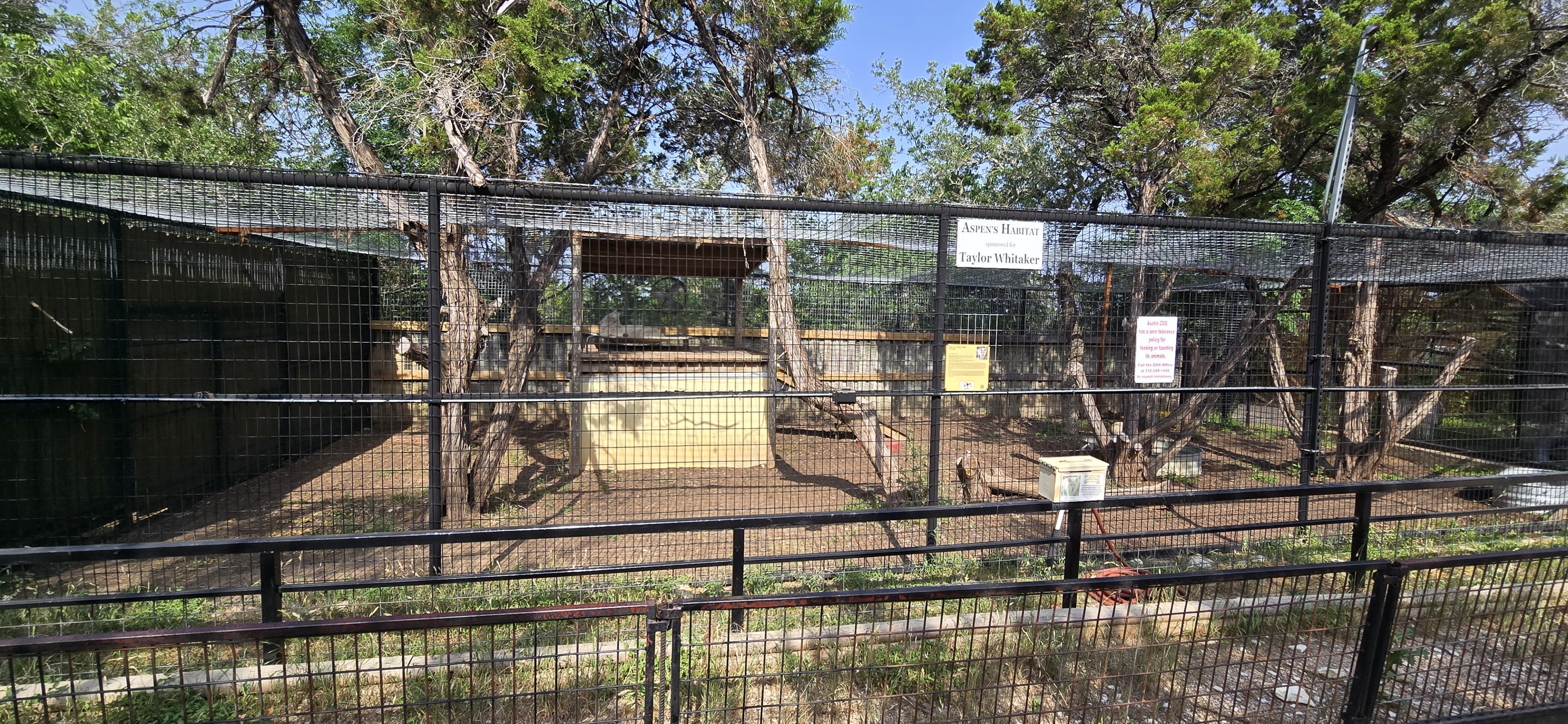 Grey Wolf - former vacant cage