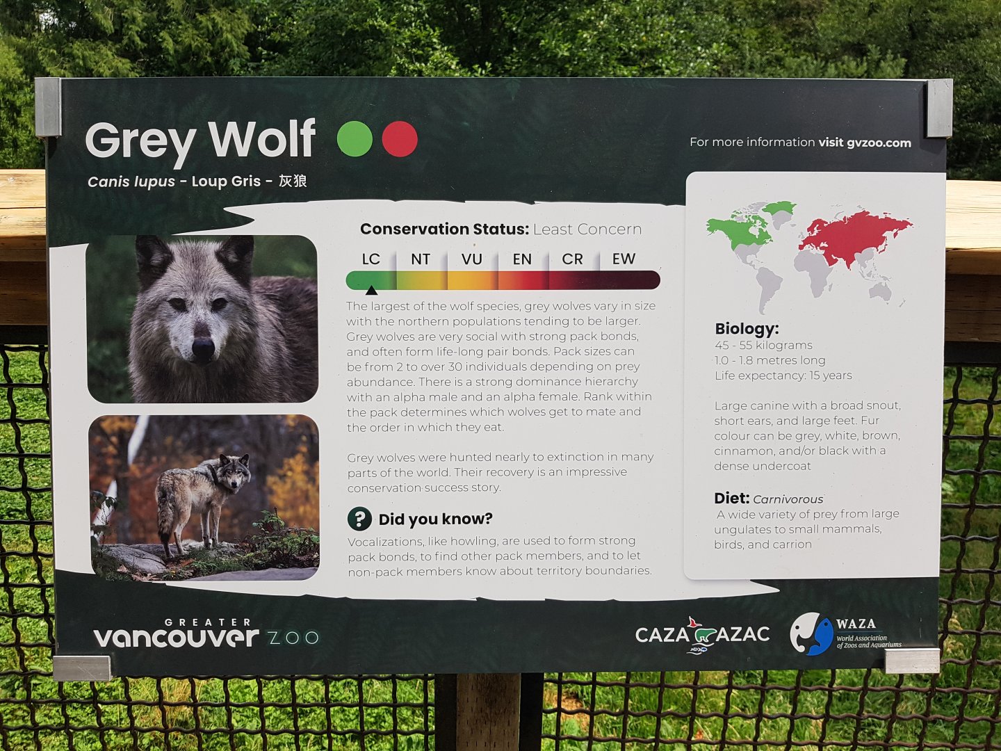 Grey Wolf Sign