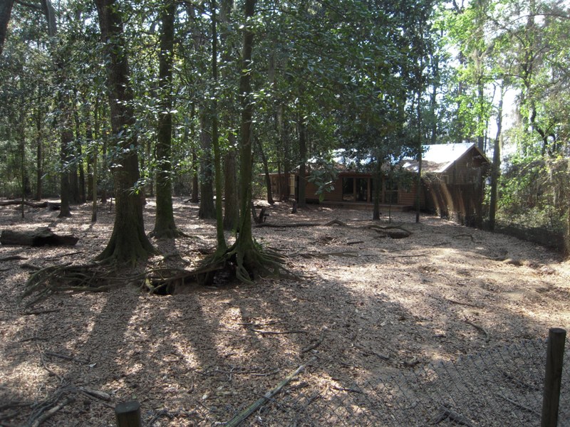 Grey Wolf Yard and Viewing Lodge - Wolf Wilderness
