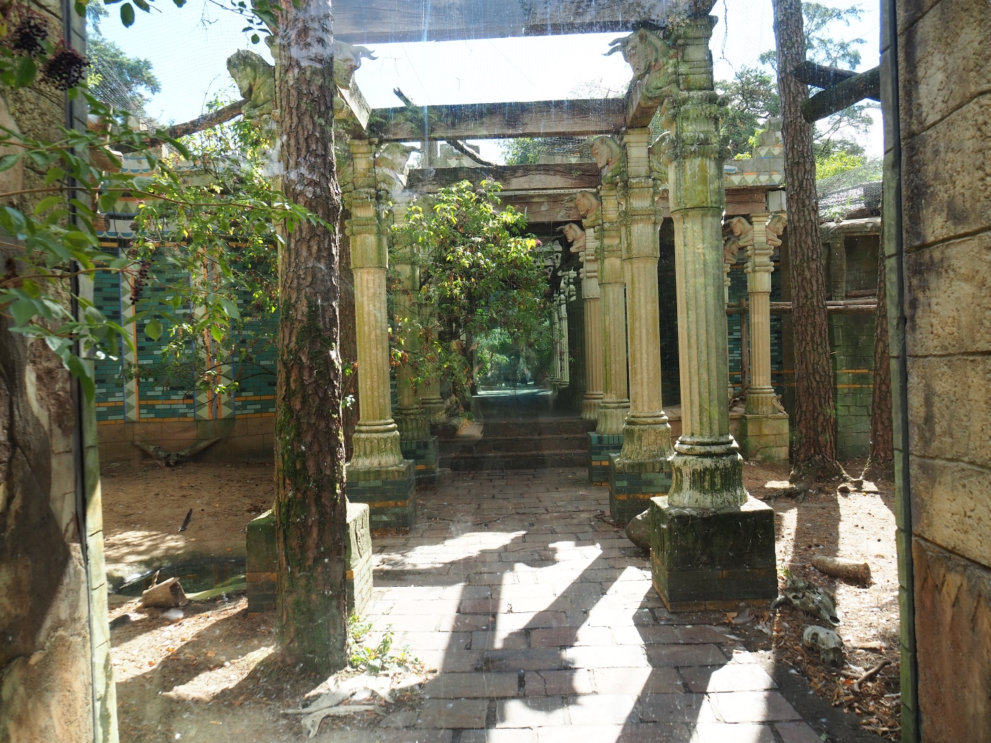 Griffon vulture and marabou aviary columns passage