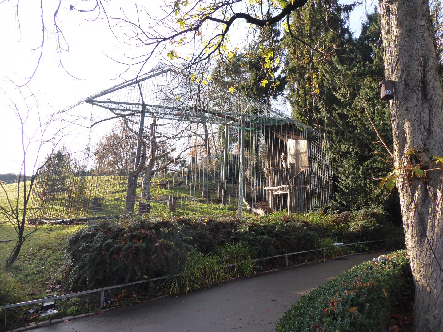 Griffon vulture aviaries 011218
