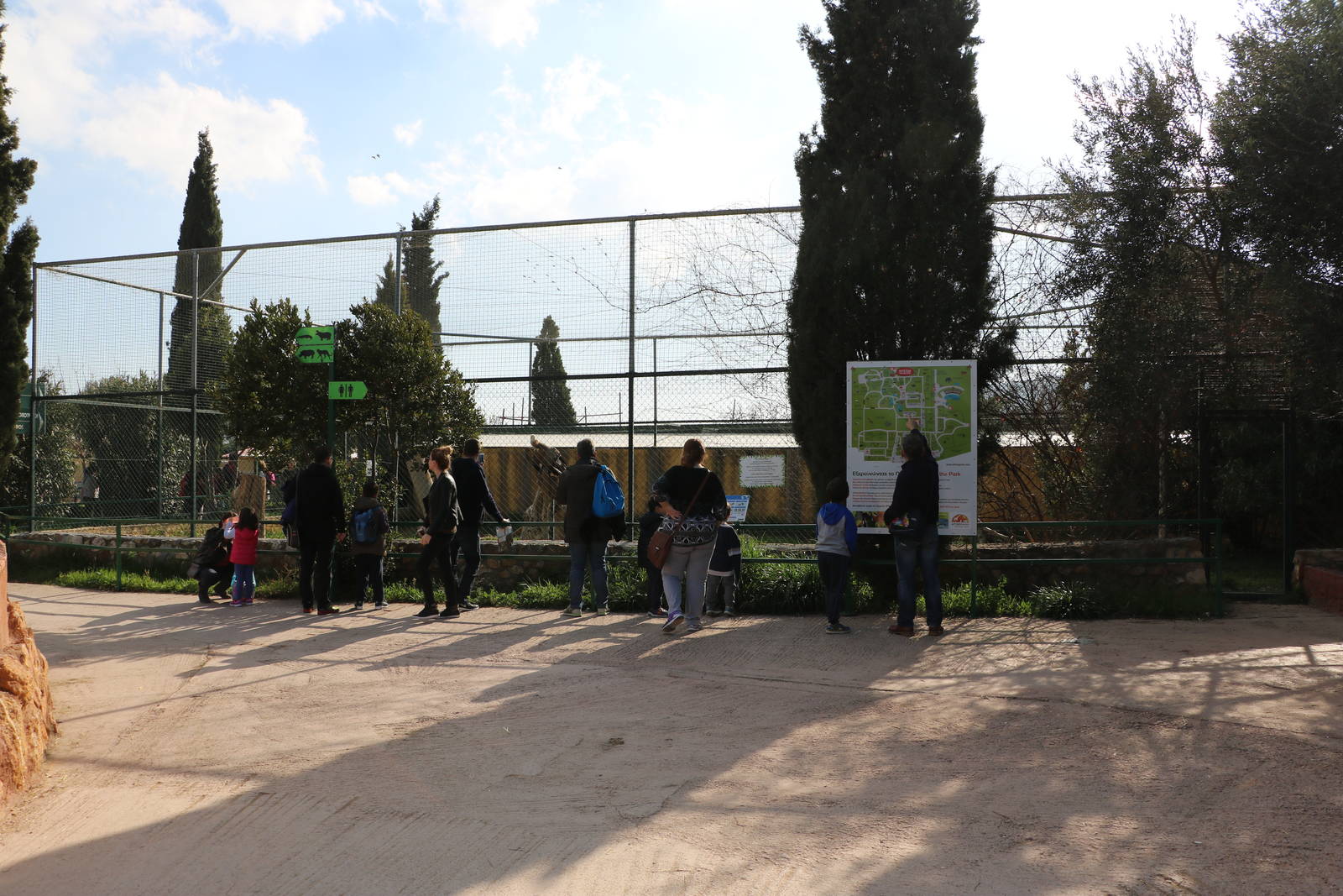 Griffon vulture aviary, February 2016
