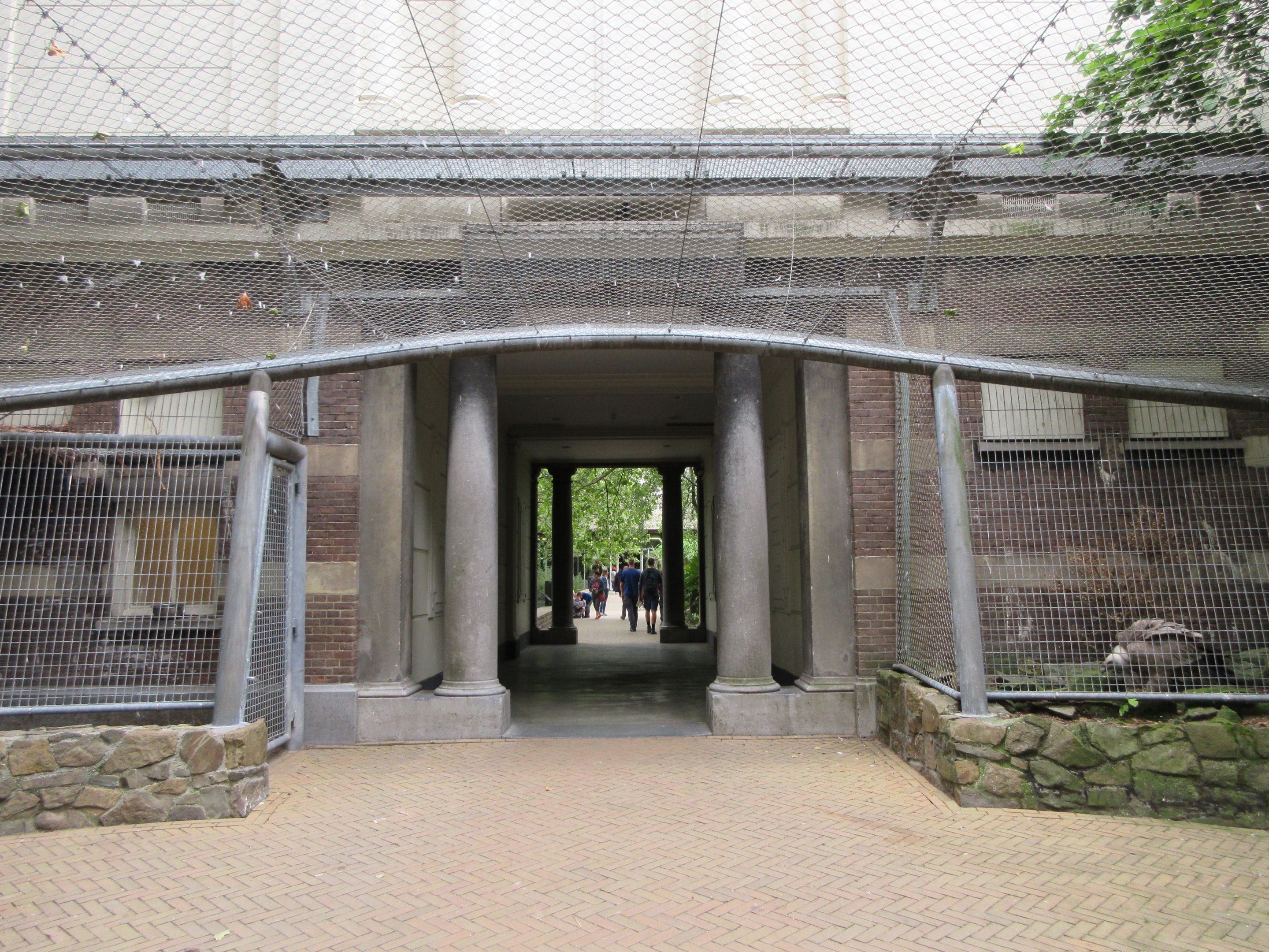 Griffon Vulture Aviary (overhead, middle section)