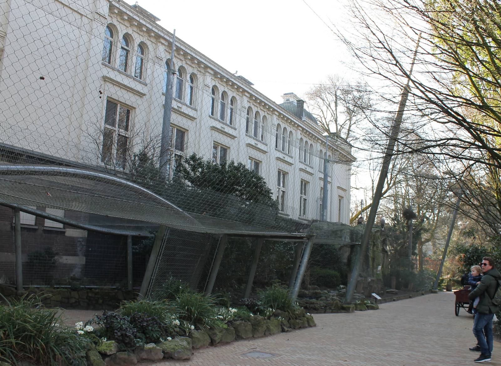 Griffon vulture aviary