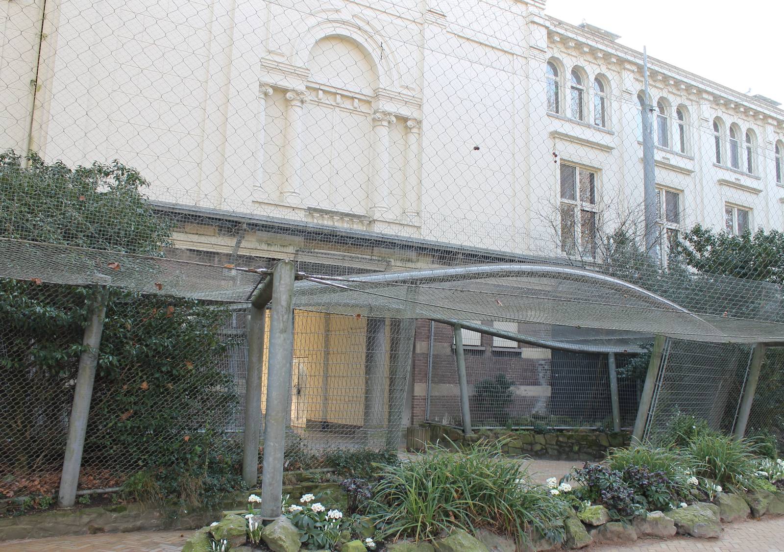 Griffon vulture aviary