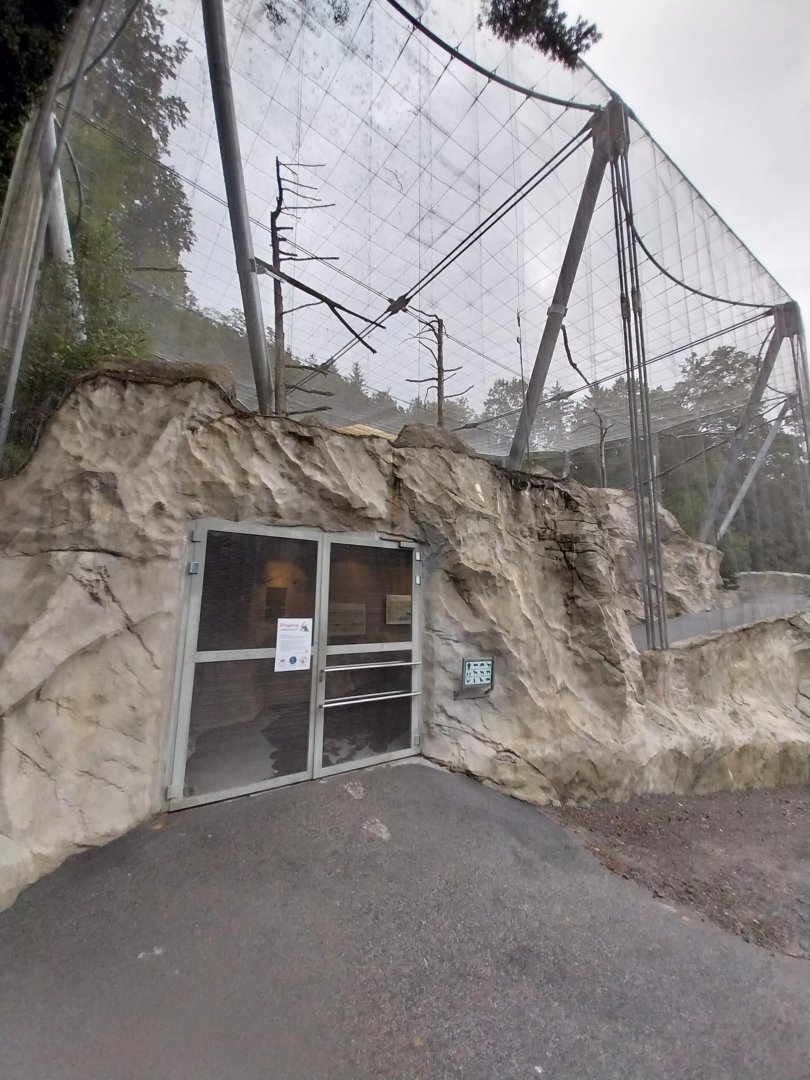 Griffon vulture aviary