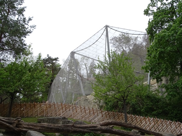 Griffon vulture aviary