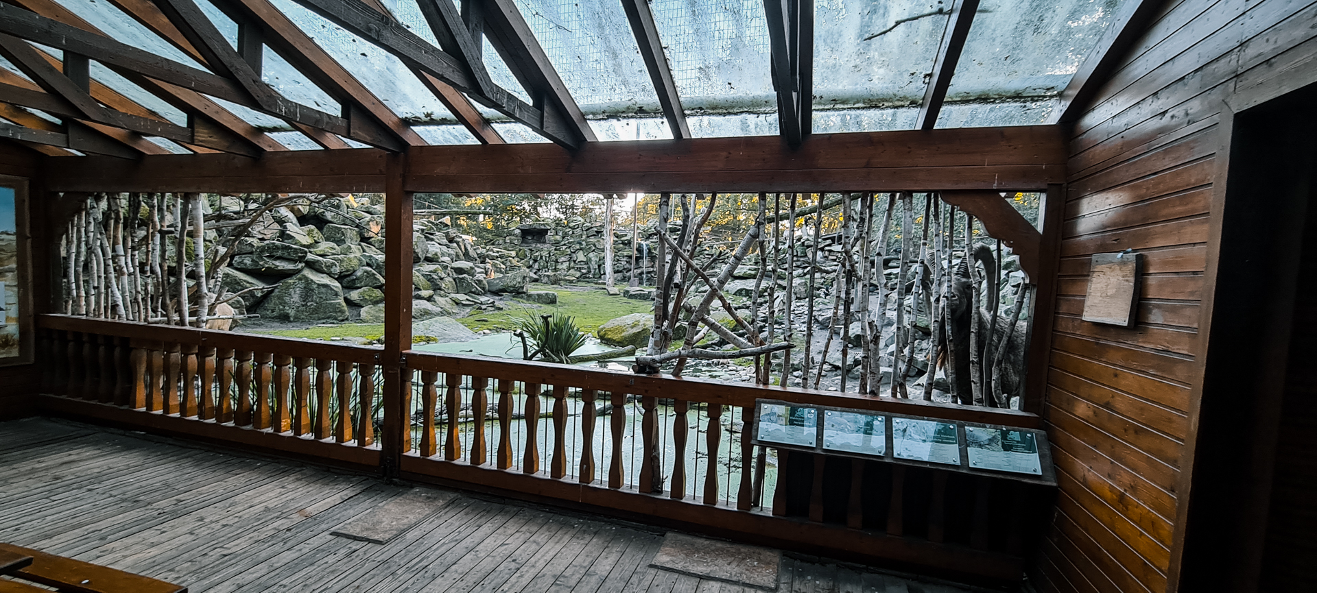 Griffon Vulture, Bald Ibis, Ibex and Terrapin