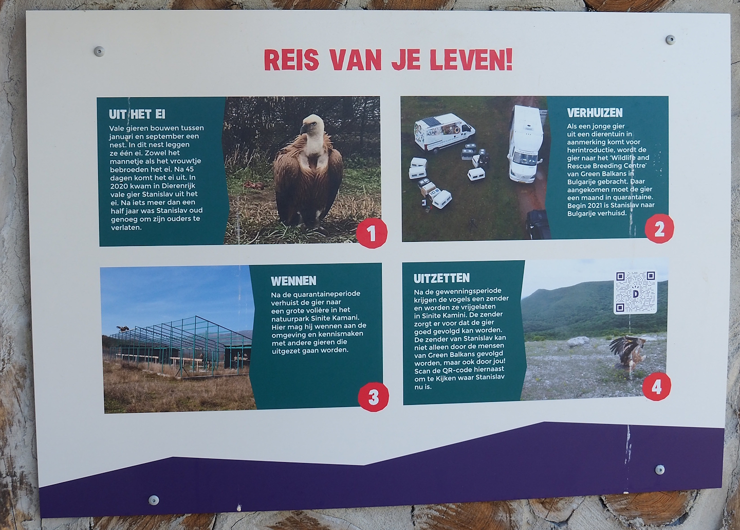 Griffon vulture reintroduction in Bulgaria signage, 2023-04-30