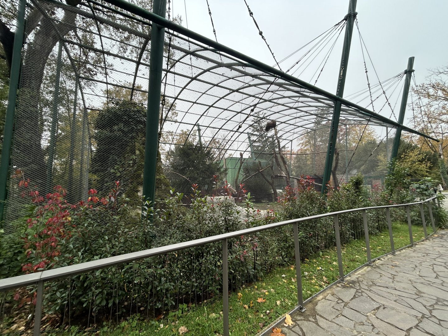 Griffon Vulture & Waldrapp Ibis Aviary