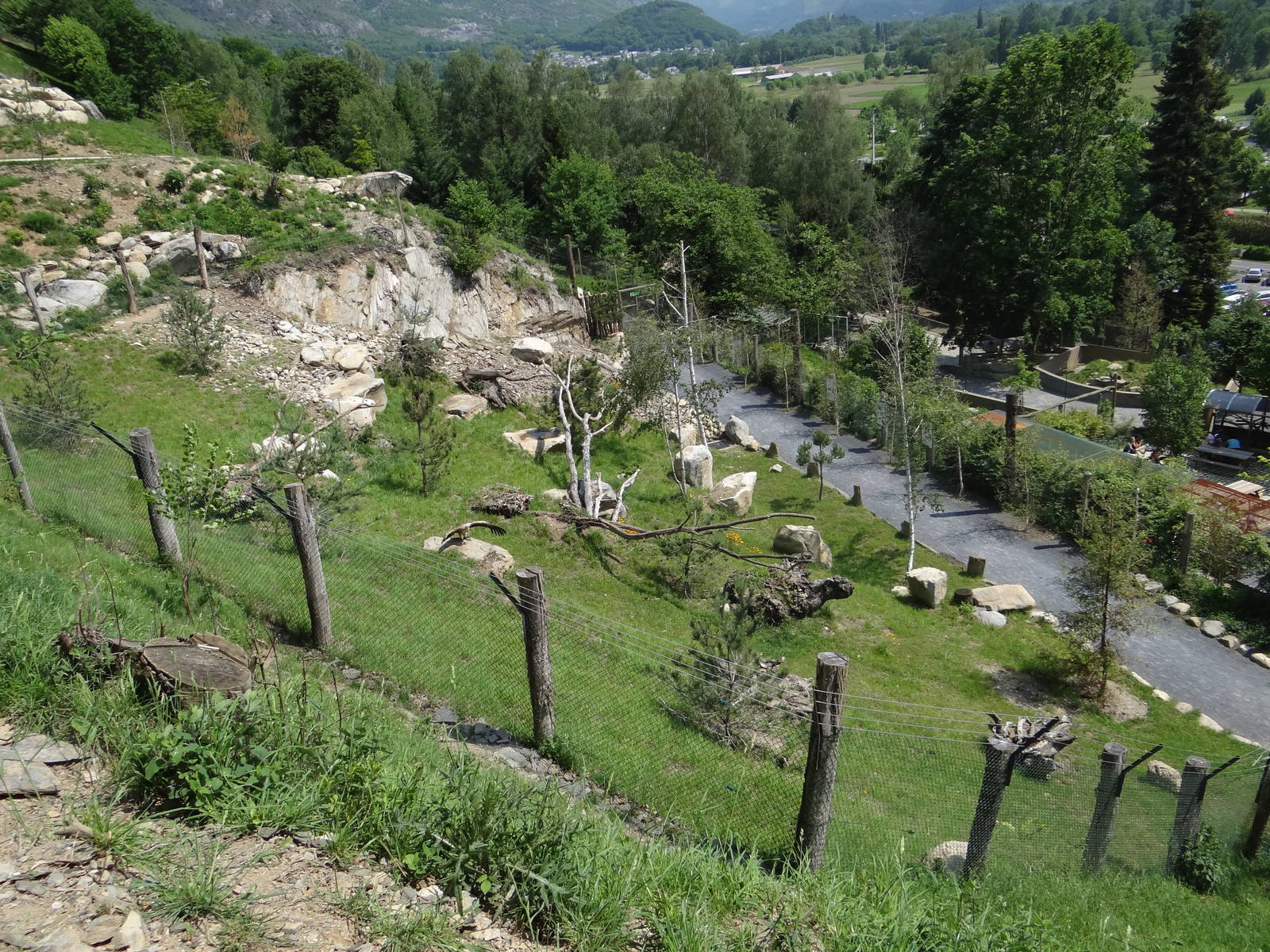 Griffon vulture walkthrough exhibit