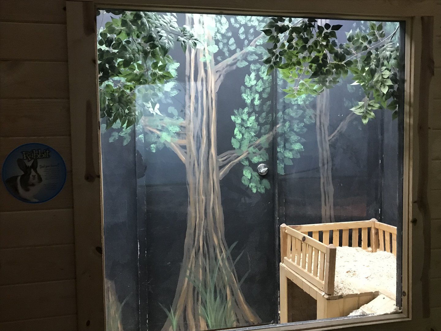 Griggs Learning Center - Domestic Rabbit Exhibit