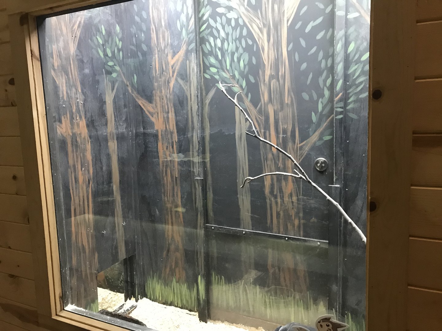 Griggs Learning Center - European Ferret Exhibit