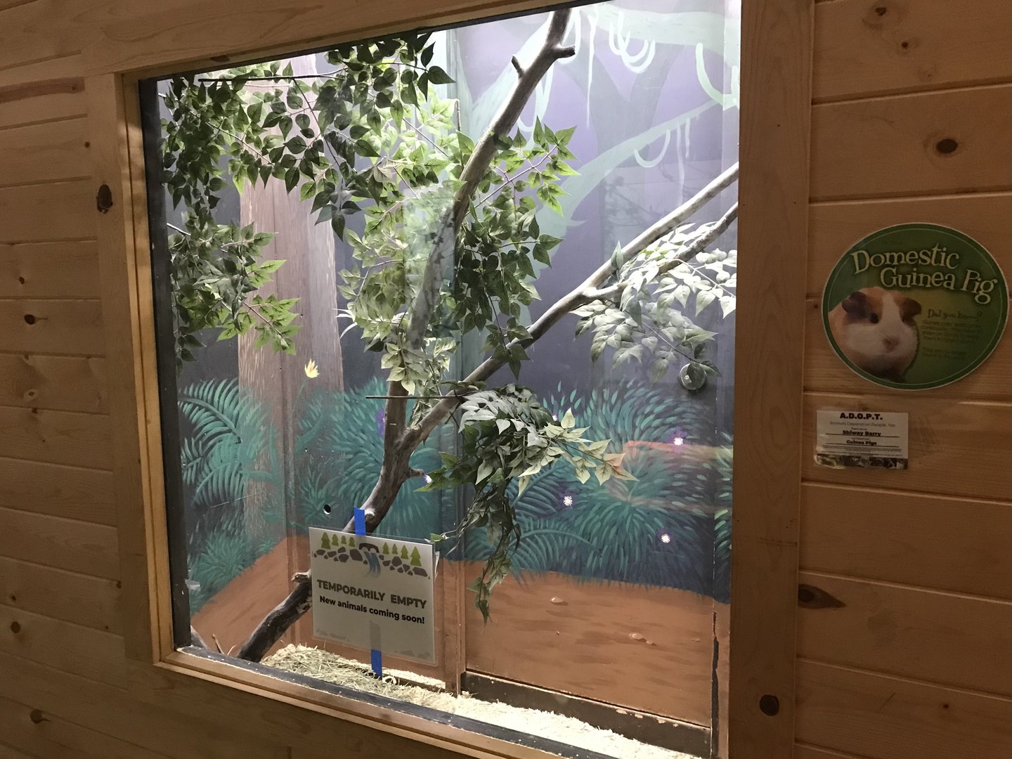 Griggs Learning Center - Former Guinea Pig Exhibit