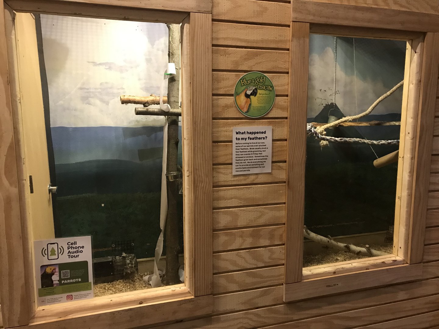 Griggs Learning Center - New Blue & Gold Macaw Exhibit