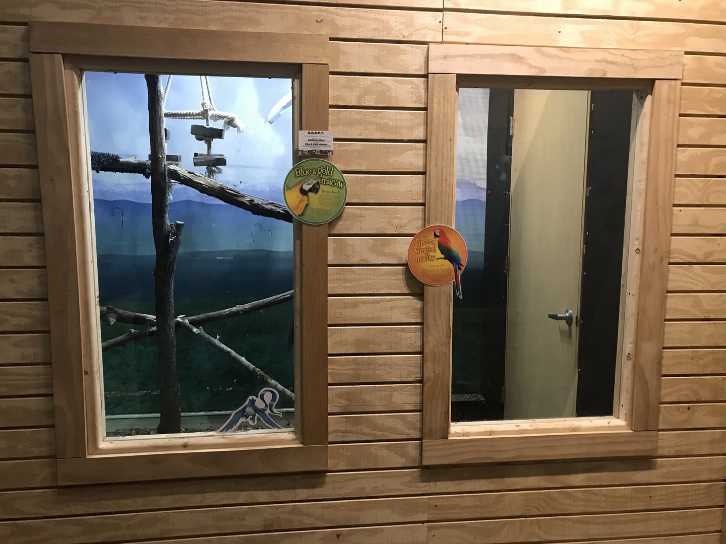 Griggs Learning Center - New Green-Winged Macaw/Blue & Gold Macaw Exhibit