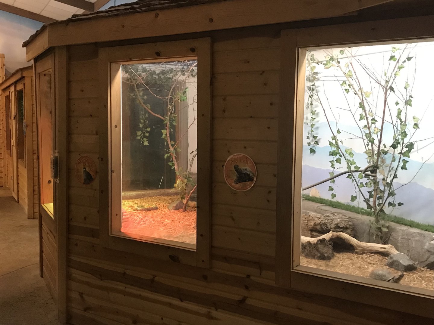 Griggs Learning Center - Northern Bobwhite Quail/Eastern Box Turtle Exhibit