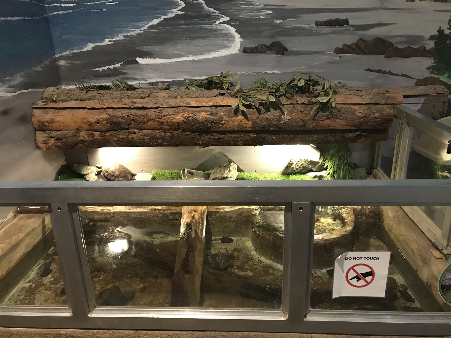 Griggs Learning Center - Red-Eared Slider Exhibit
