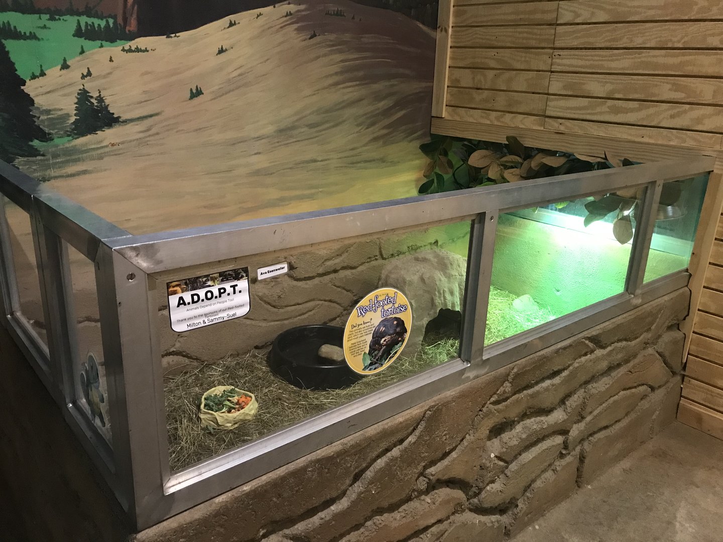 Griggs Learning Center - Red-Footed Tortoise Exhibit