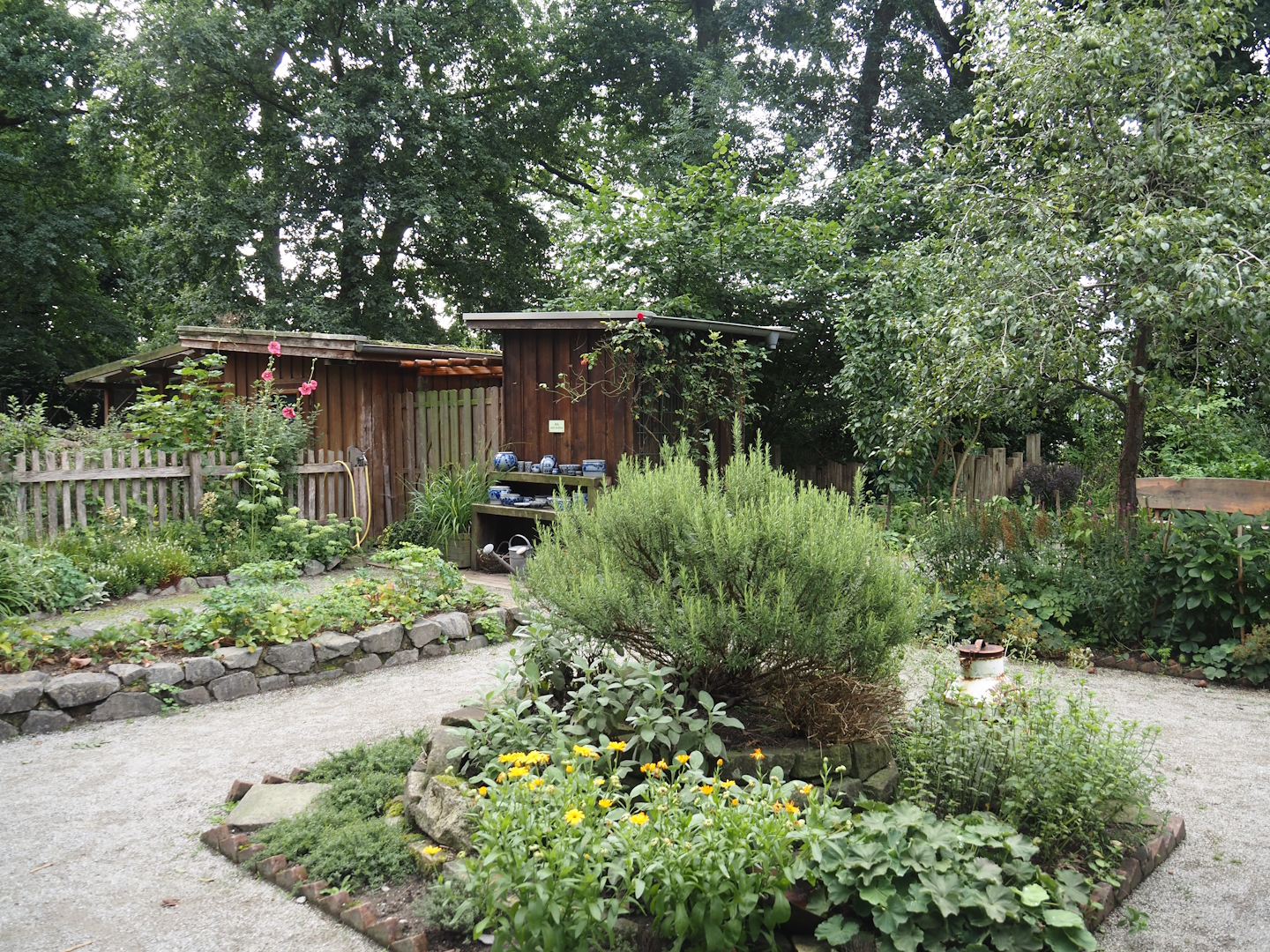 Grimberger Hof farm area - Bauerngarten/Farm garden, 2024-08-05