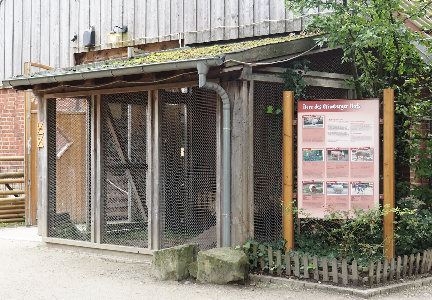 Grimberger Hof farm area - Domestic guinea pig exhibit, 2024-08-05