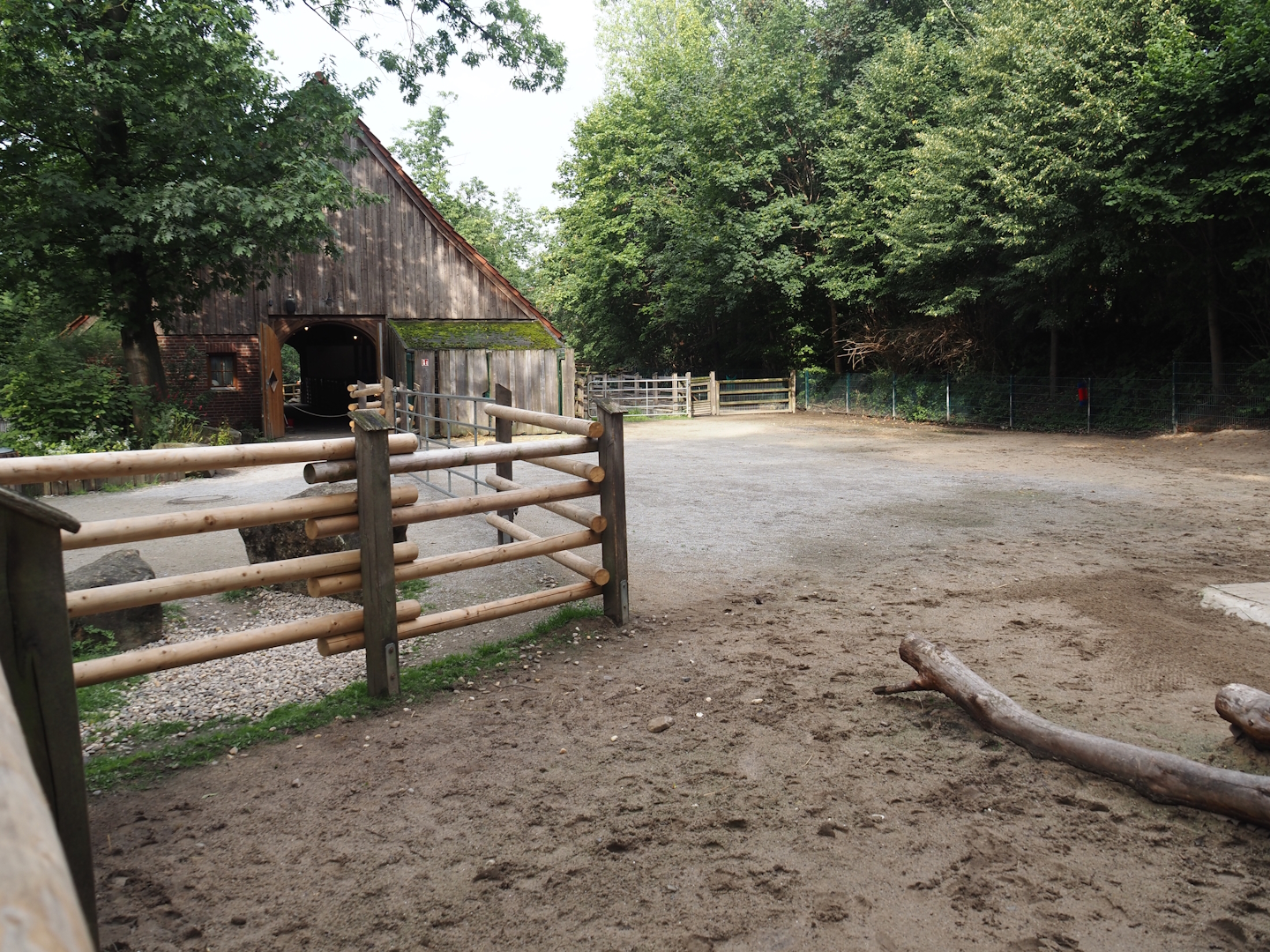 Grimberger Hof farm area - Hinterwald cattle paddock, 2024-08-05