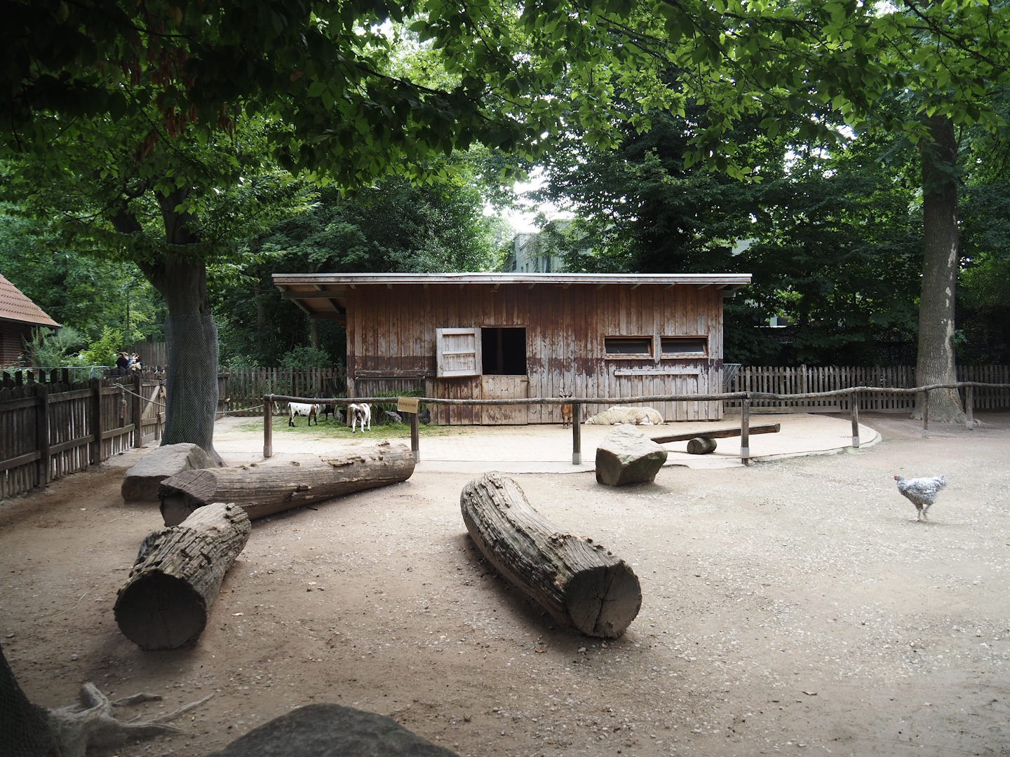Grimberger Hof farm area - Petting zoo paddock, 2024-08-05