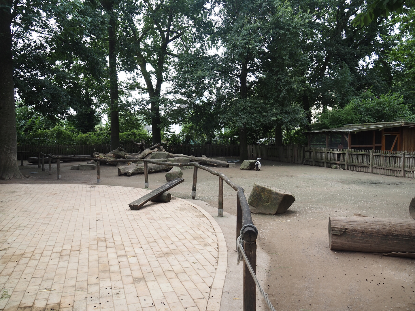 Grimberger Hof farm area - Petting zoo paddock, 2024-08-05