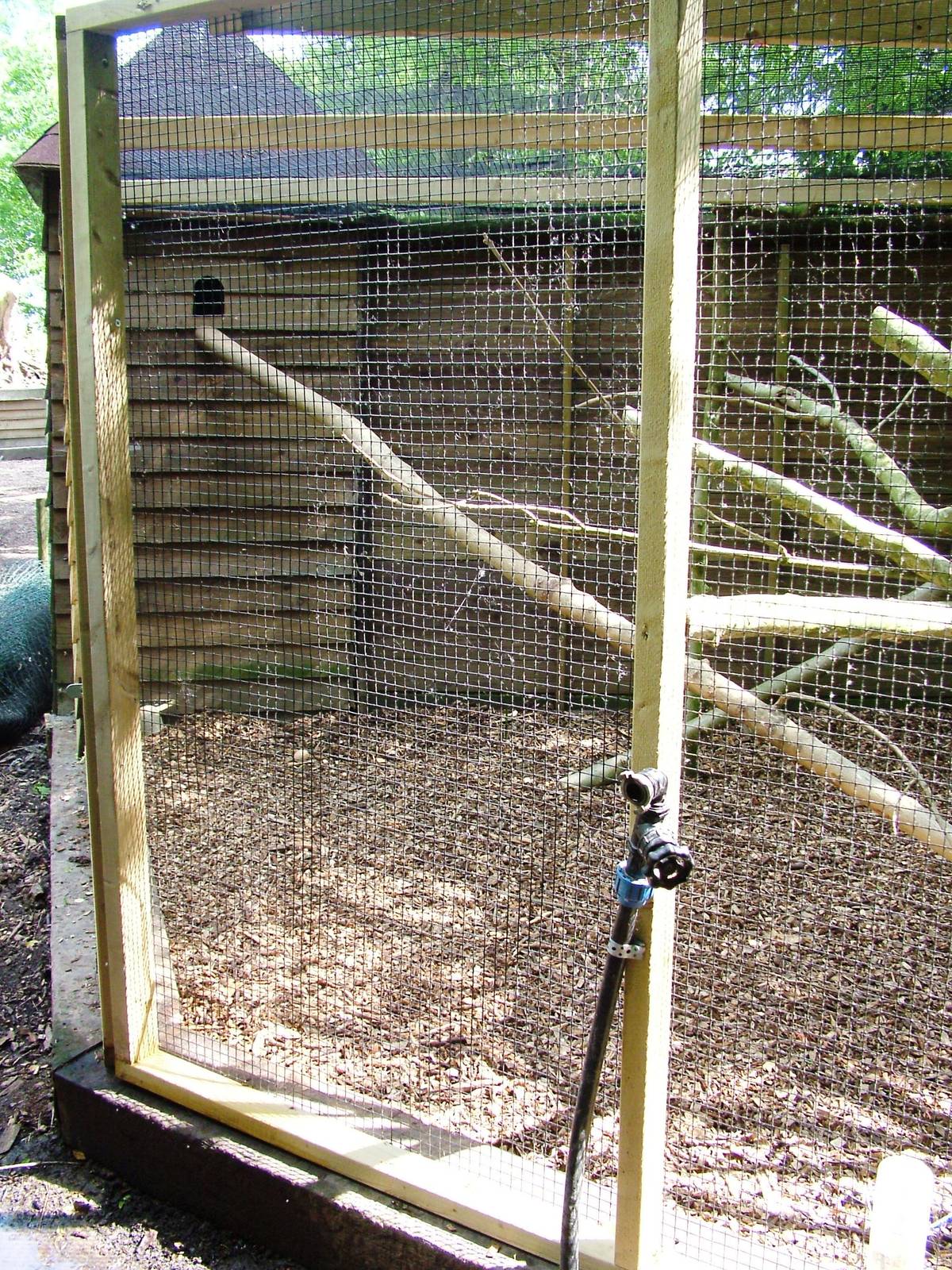 Grison Enclosure at De Paay, 02/06/12