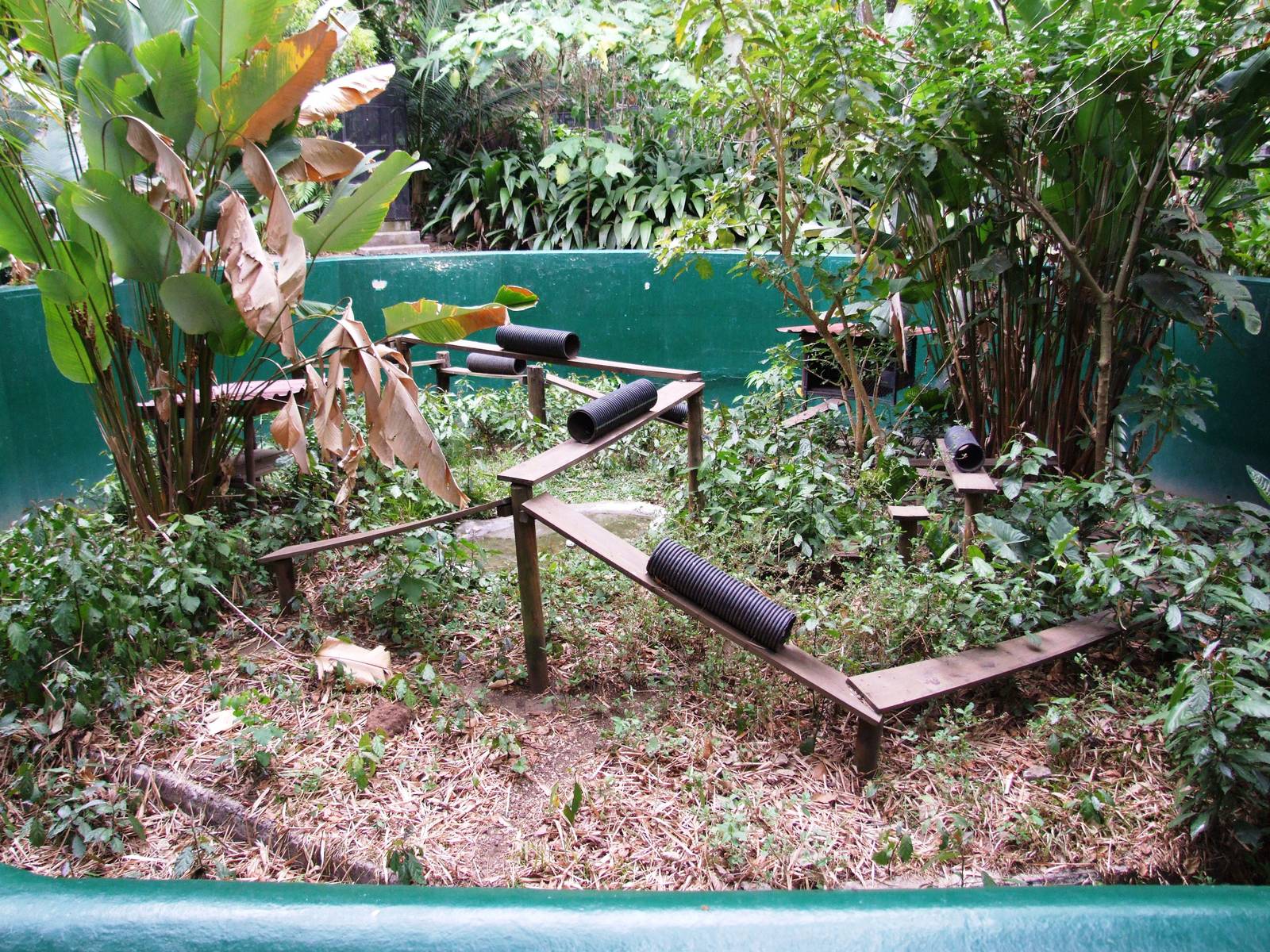 Grison Enclosure at Zoo Simon Bolivar, 12/04/14