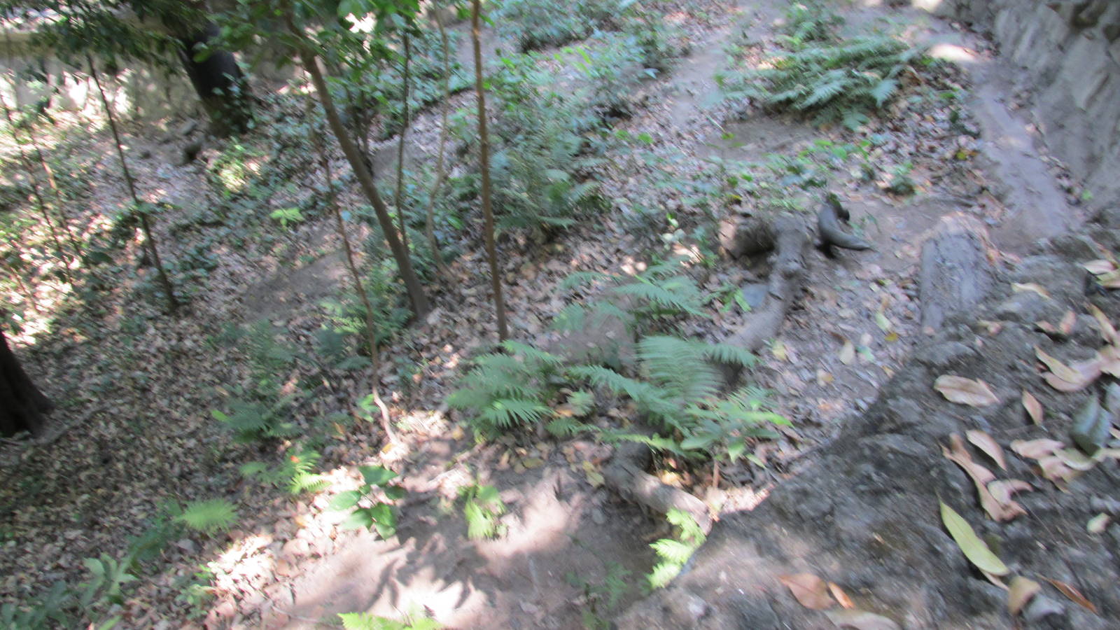 grison exhibit zoomat