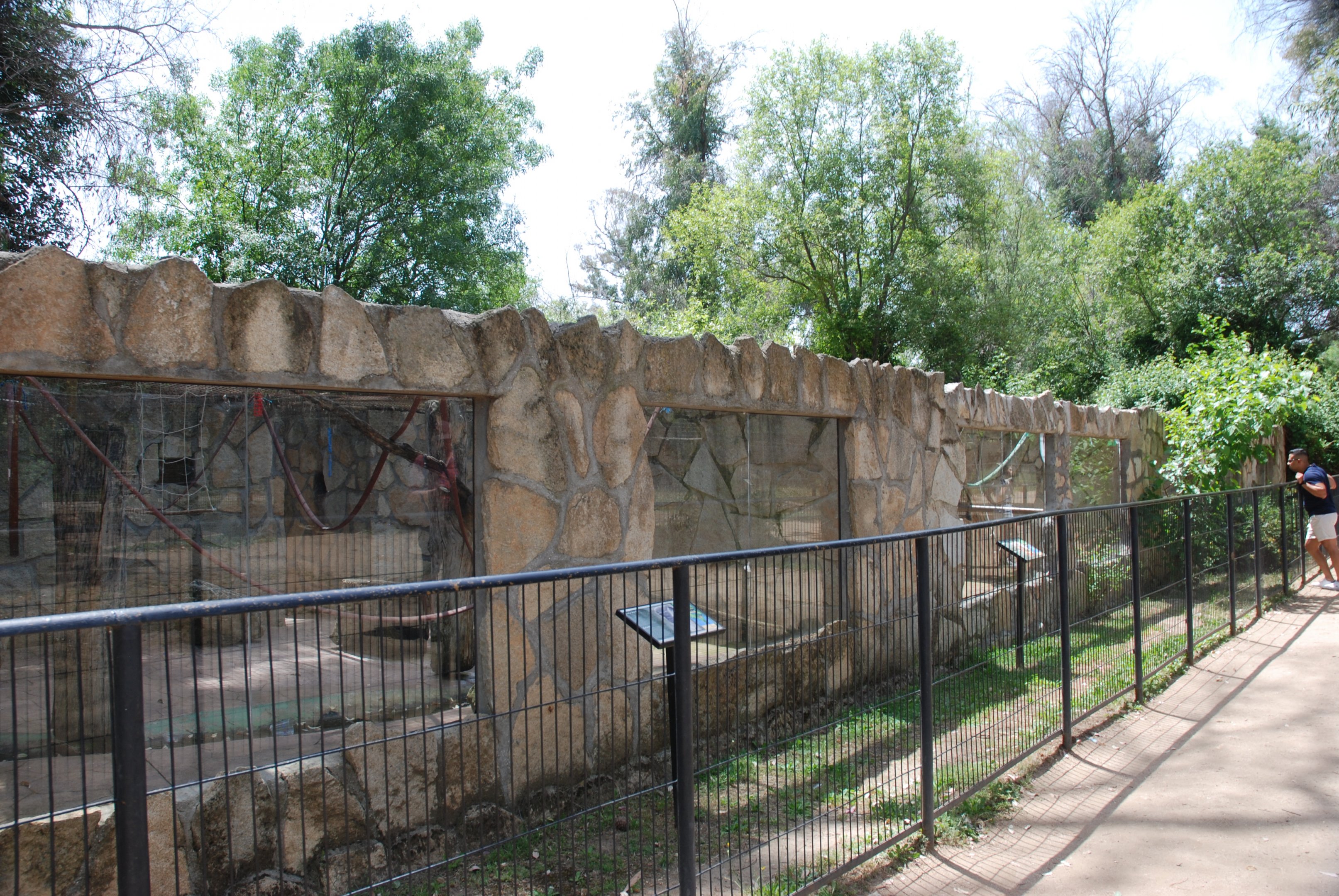 Grivet and Brown Capuchin Enclosures at Safari Madrid, 19th May 2022