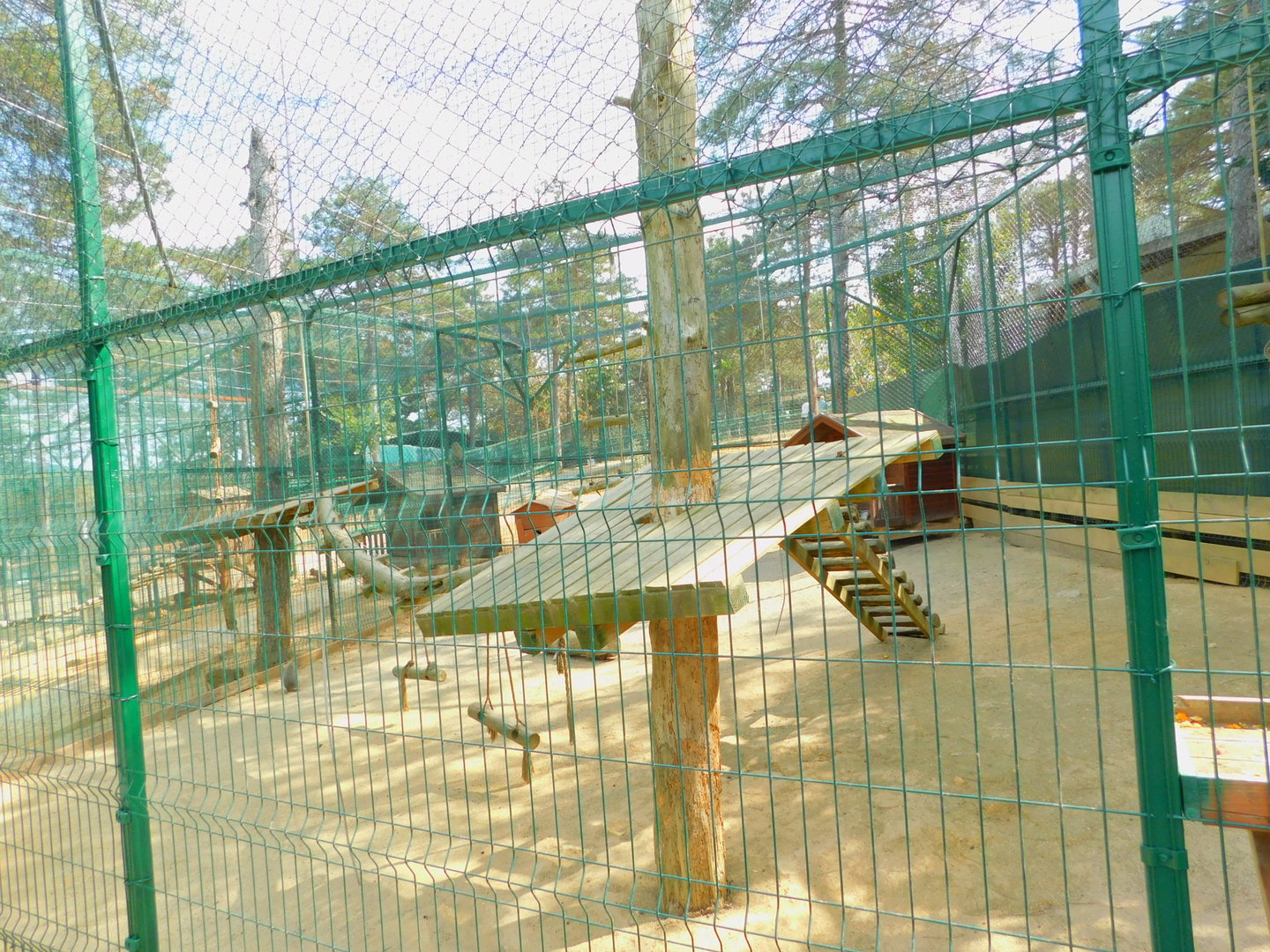 Grivet Enclosure at Park of Istanbul