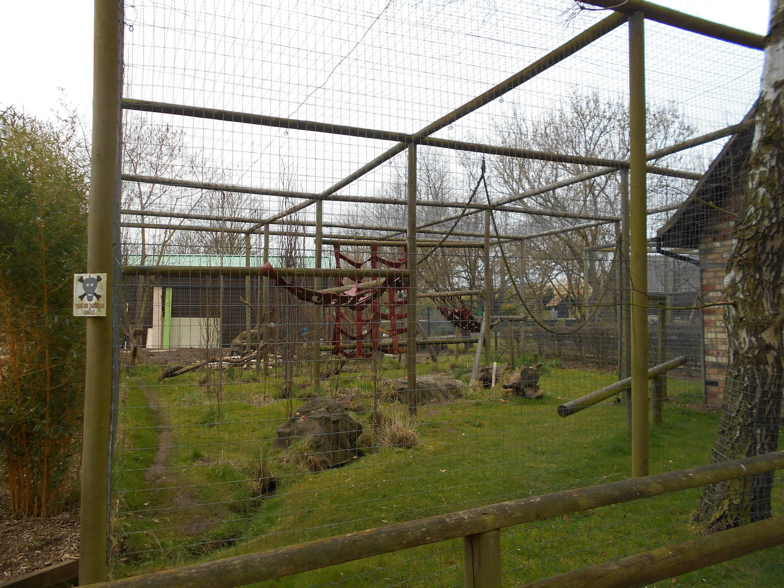 Grivet enclosure - March 15th 2016