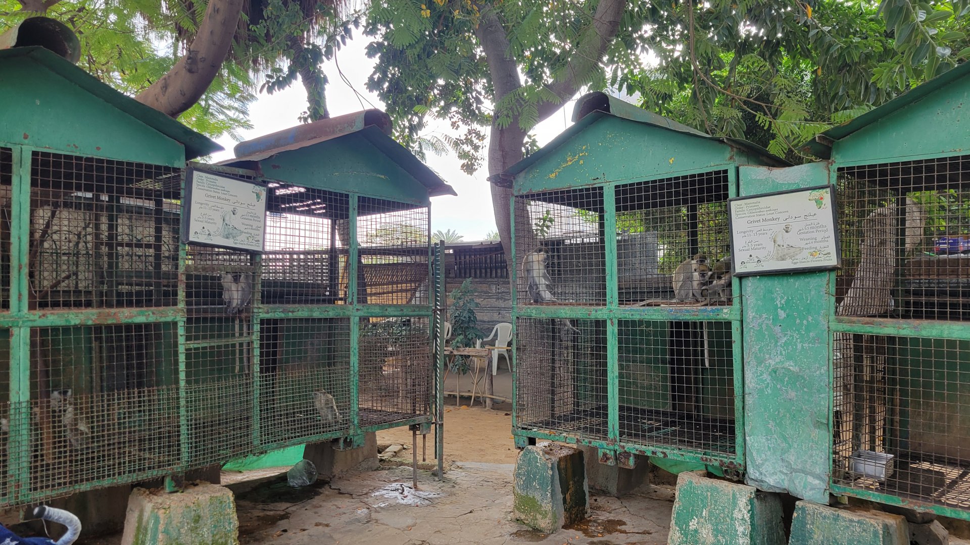 Grivet enclosures - Dec 2023