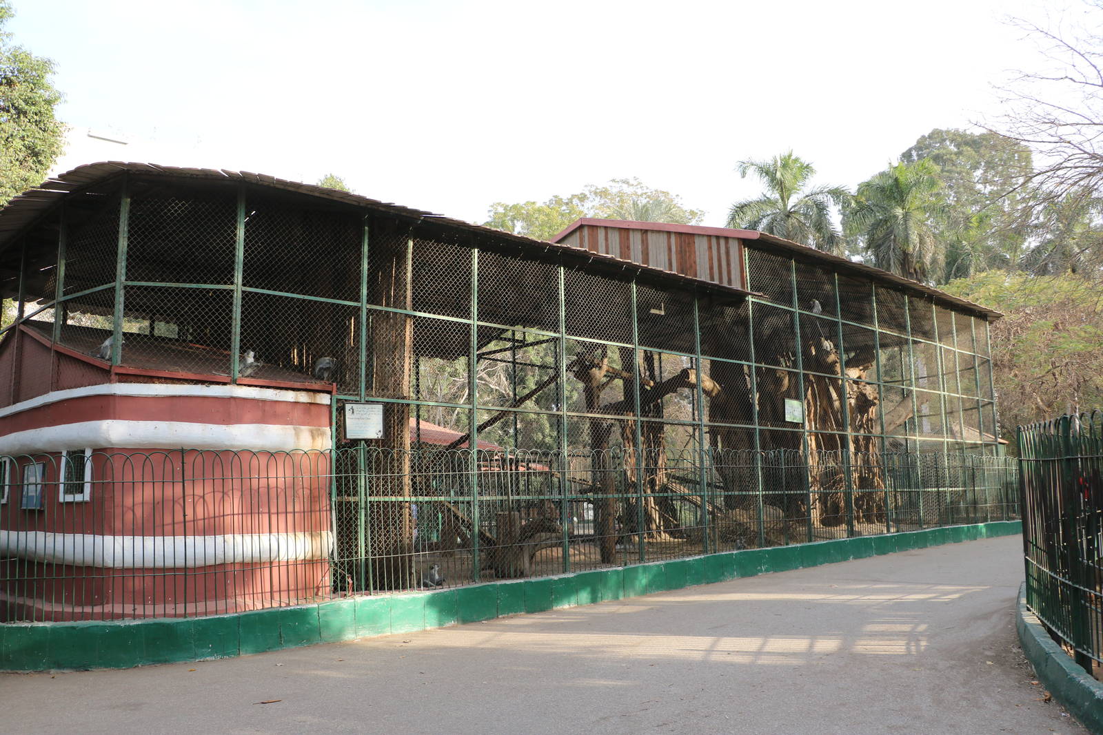 Grivet monkey enclosure, February 2016