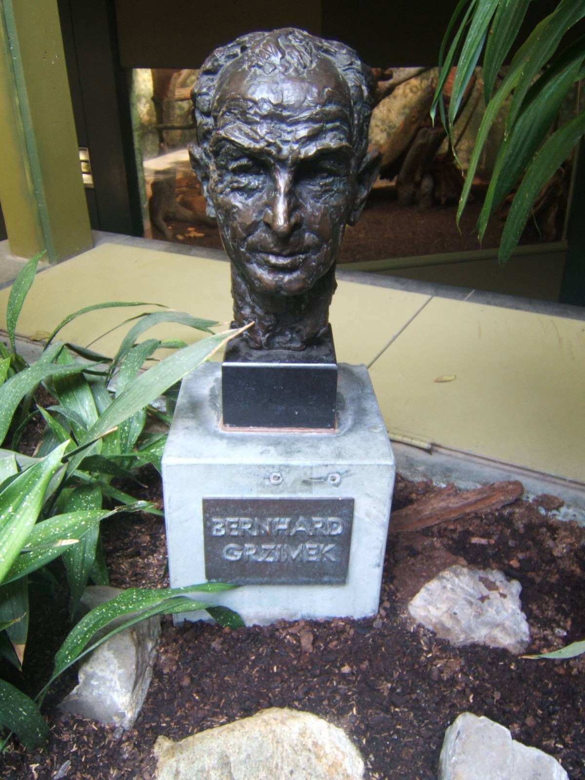 Grizmek bust inside the Grizmek House