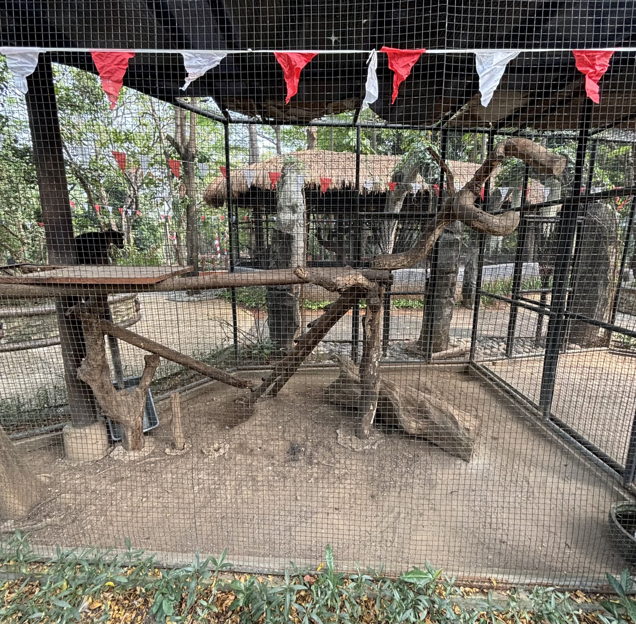 Grizzled Tree Kangaroo Exhibit