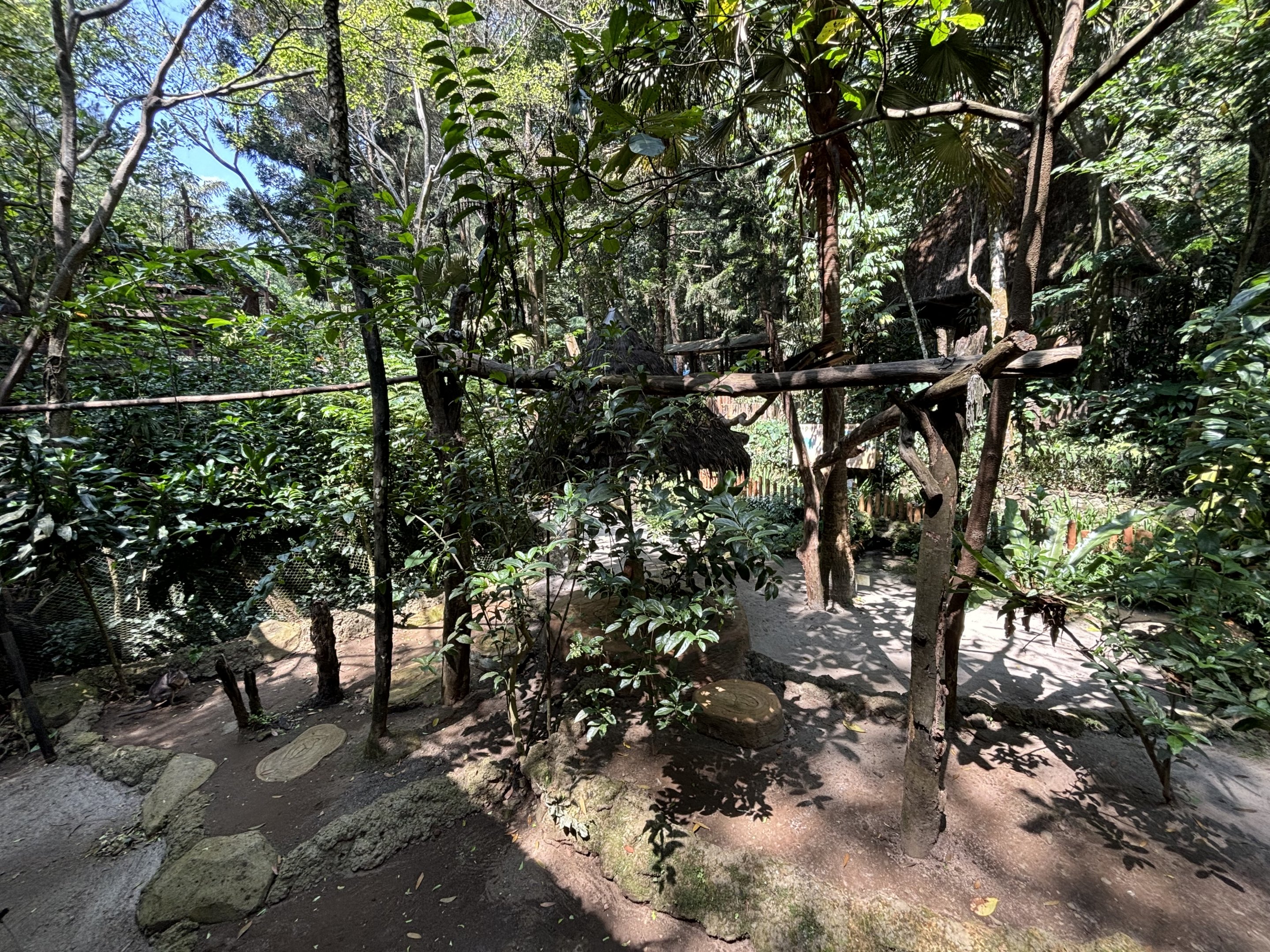 Grizzled Tree Kangaroo Exhibit