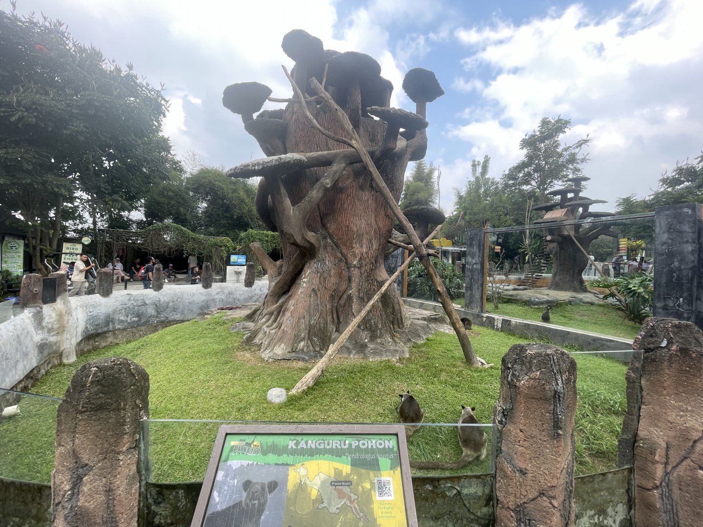 grizzled tree-kangaroo exhibit