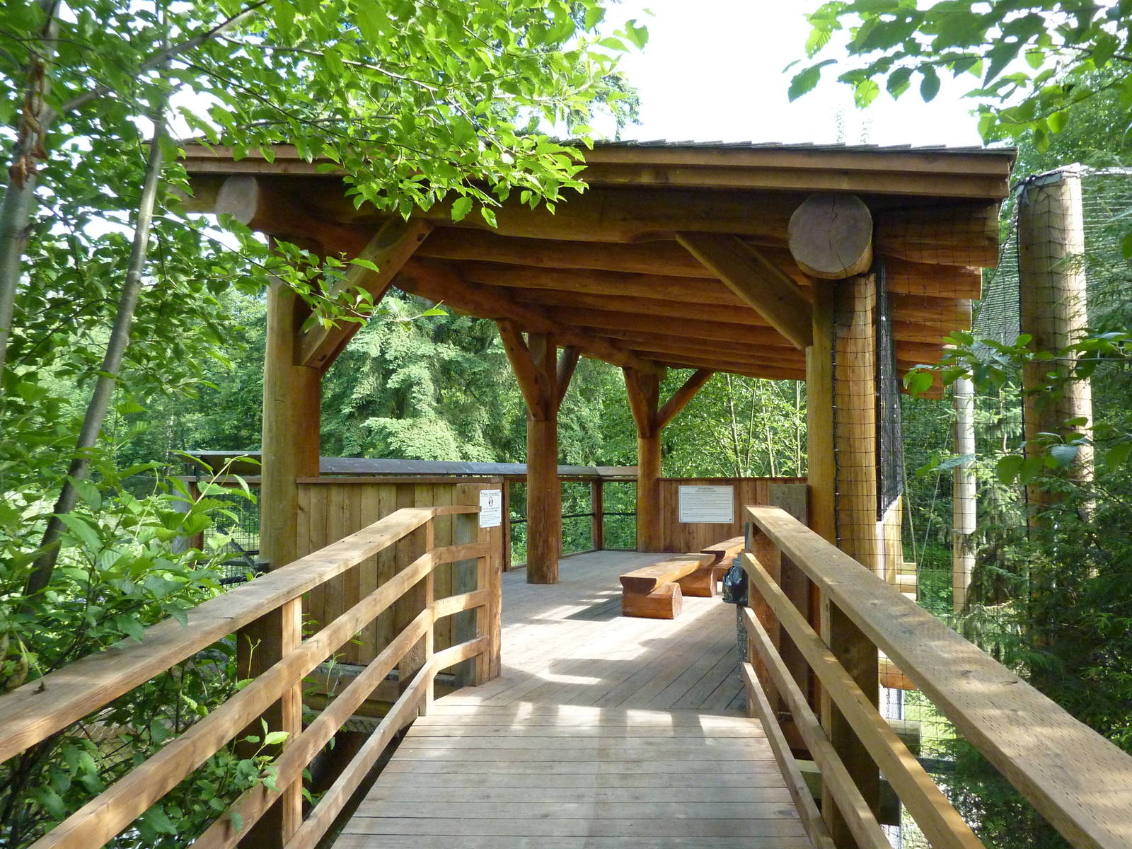 Grizzly Bear/Bald Eagle Viewing Platform